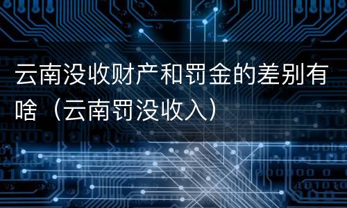 云南没收财产和罚金的差别有啥（云南罚没收入）