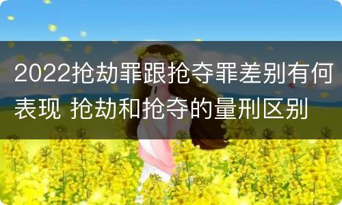 2022抢劫罪跟抢夺罪差别有何表现 抢劫和抢夺的量刑区别