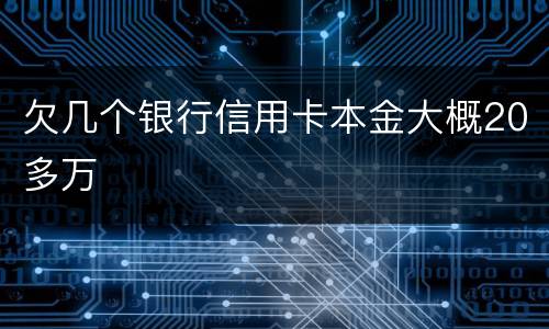 欠几个银行信用卡本金大概20多万