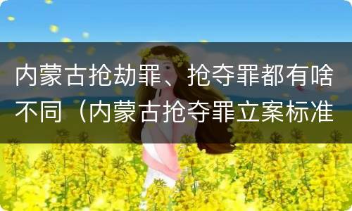 内蒙古抢劫罪、抢夺罪都有啥不同（内蒙古抢夺罪立案标准）