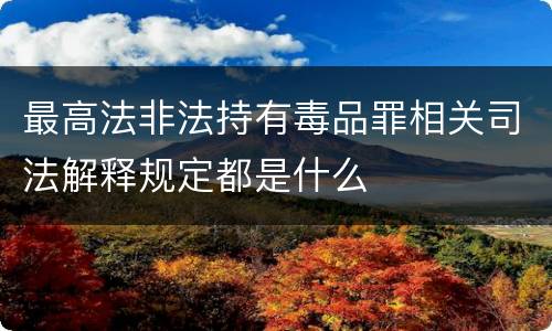 最高法非法持有毒品罪相关司法解释规定都是什么
