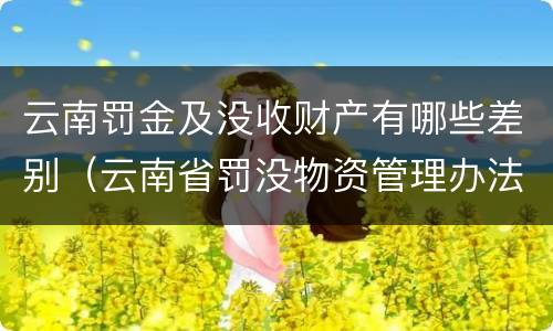云南罚金及没收财产有哪些差别（云南省罚没物资管理办法）