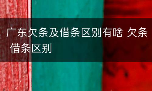 广东欠条及借条区别有啥 欠条 借条区别