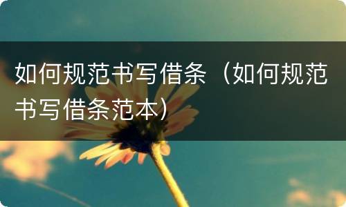 如何规范书写借条（如何规范书写借条范本）
