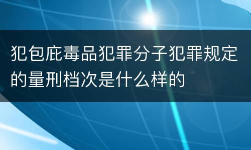 犯包庇毒品犯罪分子犯罪规定的量刑档次是什么样的