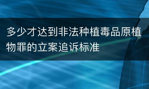 多少才达到非法种植毒品原植物罪的立案追诉标准
