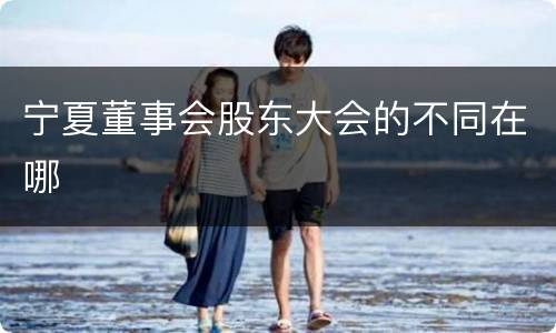 宁夏董事会股东大会的不同在哪