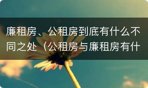 廉租房、公租房到底有什么不同之处（公租房与廉租房有什么不同）
