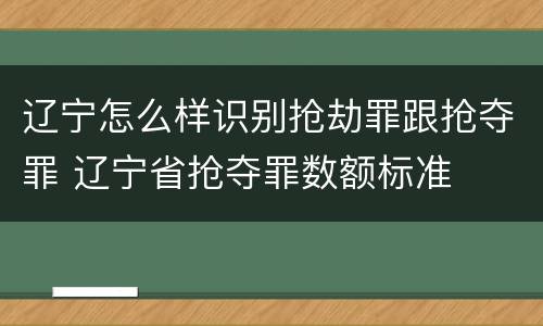辽宁怎么样识别抢劫罪跟抢夺罪 辽宁省抢夺罪数额标准