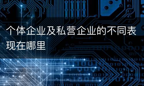 个体企业及私营企业的不同表现在哪里