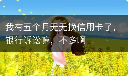 我有五个月无无换信用卡了，银行诉讼嘛，不多啊