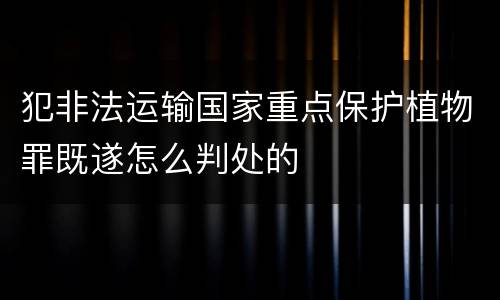 犯非法运输国家重点保护植物罪既遂怎么判处的