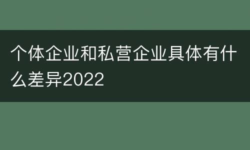 个体企业和私营企业具体有什么差异2022