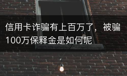 信用卡诈骗有上百万了，被骗100万保释金是如何呢