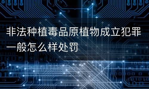 非法种植毒品原植物成立犯罪一般怎么样处罚