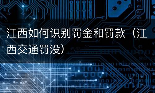 江西如何识别罚金和罚款（江西交通罚没）