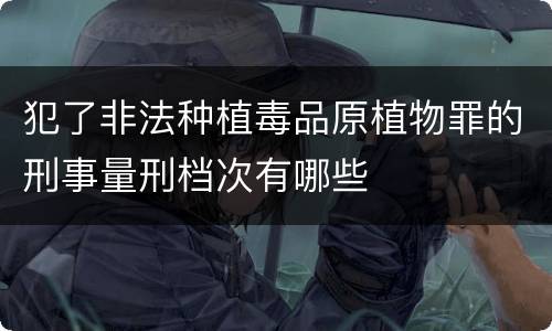 犯了非法种植毒品原植物罪的刑事量刑档次有哪些