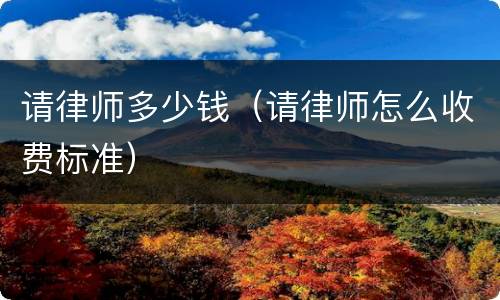 请律师多少钱（请律师怎么收费标准）