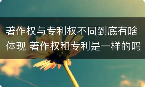 著作权与专利权不同到底有啥体现 著作权和专利是一样的吗