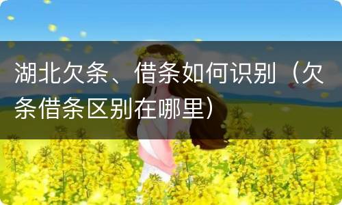 湖北欠条、借条如何识别（欠条借条区别在哪里）