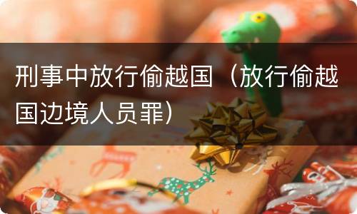 刑事中放行偷越国（放行偷越国边境人员罪）