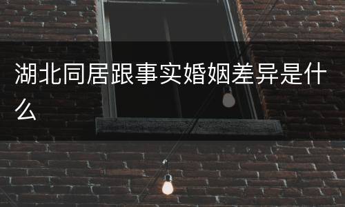 湖北同居跟事实婚姻差异是什么
