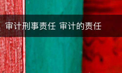 审计刑事责任 审计的责任