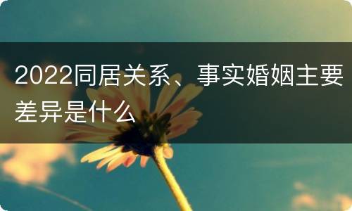 2022同居关系、事实婚姻主要差异是什么