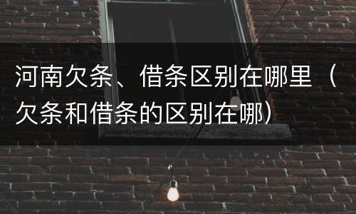 河南欠条、借条区别在哪里（欠条和借条的区别在哪）