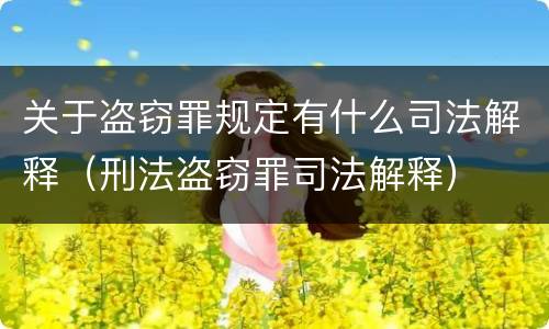 关于盗窃罪规定有什么司法解释（刑法盗窃罪司法解释）