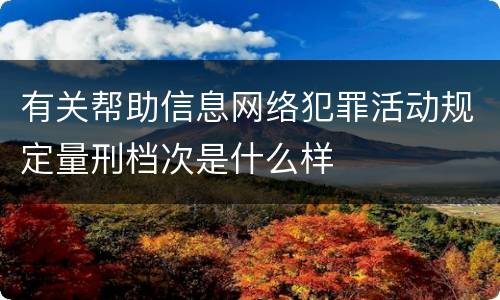 有关帮助信息网络犯罪活动规定量刑档次是什么样