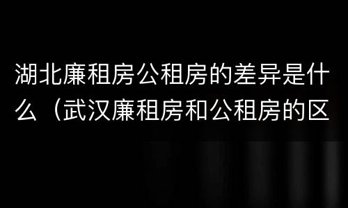 湖北廉租房公租房的差异是什么（武汉廉租房和公租房的区别）