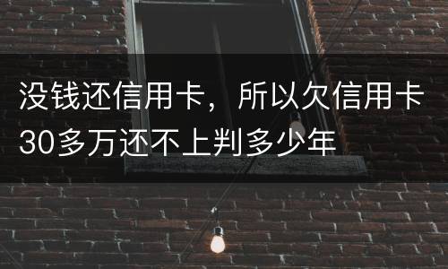 没钱还信用卡，所以欠信用卡30多万还不上判多少年