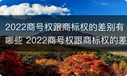 2022商号权跟商标权的差别有哪些 2022商号权跟商标权的差别有哪些呢