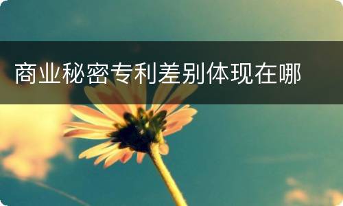 商业秘密专利差别体现在哪