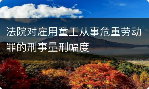 法院对雇用童工从事危重劳动罪的刑事量刑幅度