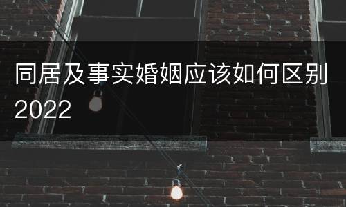 同居及事实婚姻应该如何区别2022