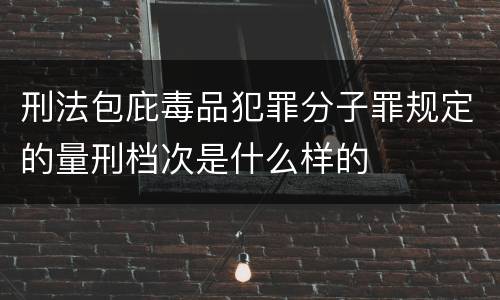 刑法包庇毒品犯罪分子罪规定的量刑档次是什么样的