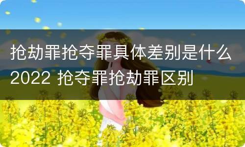 抢劫罪抢夺罪具体差别是什么2022 抢夺罪抢劫罪区别