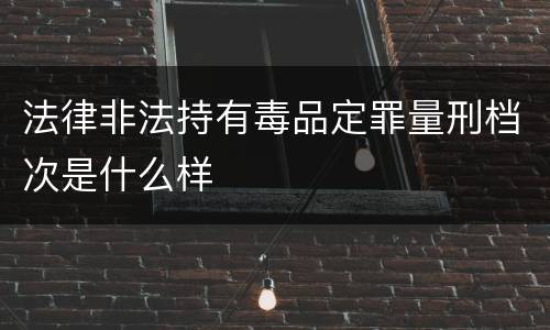 法律非法持有毒品定罪量刑档次是什么样