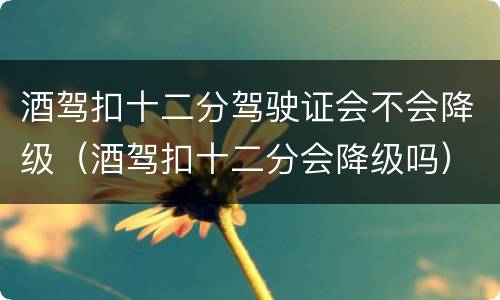 酒驾扣十二分驾驶证会不会降级（酒驾扣十二分会降级吗）