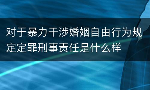 对于暴力干涉婚姻自由行为规定定罪刑事责任是什么样