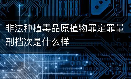 非法种植毒品原植物罪定罪量刑档次是什么样