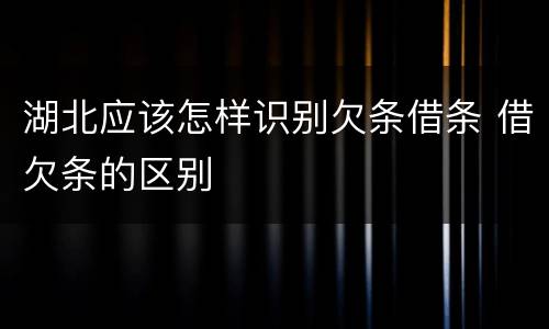 湖北应该怎样识别欠条借条 借欠条的区别