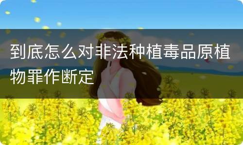 到底怎么对非法种植毒品原植物罪作断定