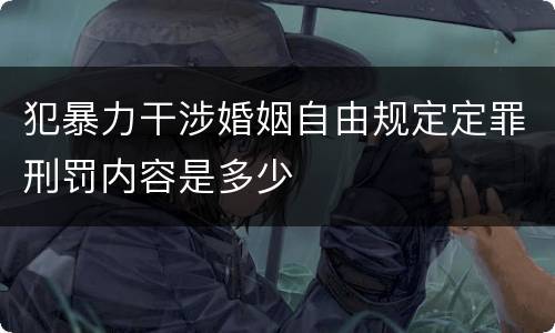 犯暴力干涉婚姻自由规定定罪刑罚内容是多少
