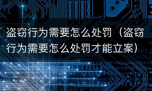 盗窃行为需要怎么处罚（盗窃行为需要怎么处罚才能立案）