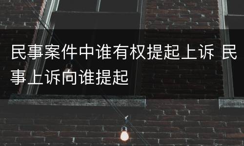 民事案件中谁有权提起上诉 民事上诉向谁提起