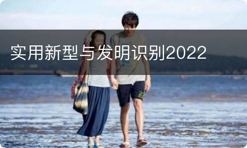 实用新型与发明识别2022