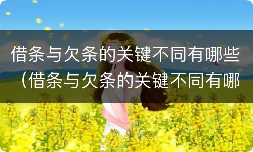 借条与欠条的关键不同有哪些（借条与欠条的关键不同有哪些呢）